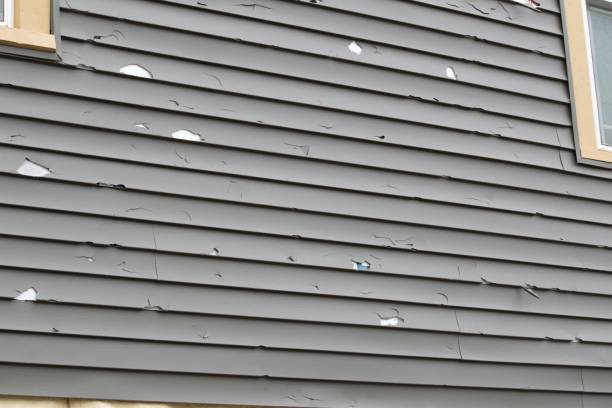 Best Siding for Multi-Family Homes  in Olympia, WA