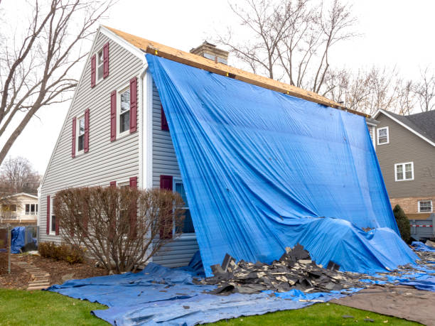 Storm Damage Siding Repair in Olympia, WA